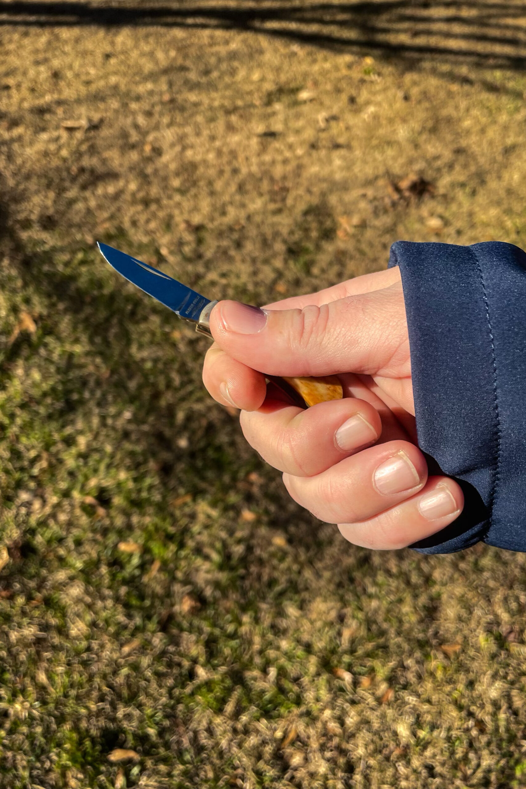 Pocket Knives - Where The Dogwood Blooms