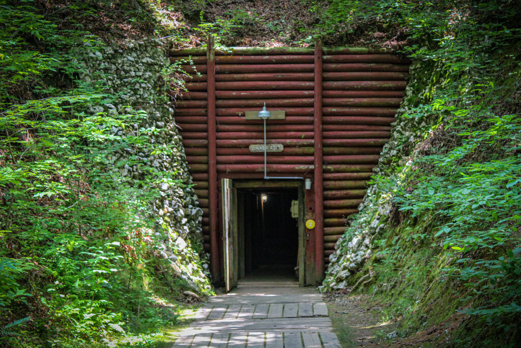 Reed Gold Mine Where The Dogwood Blooms