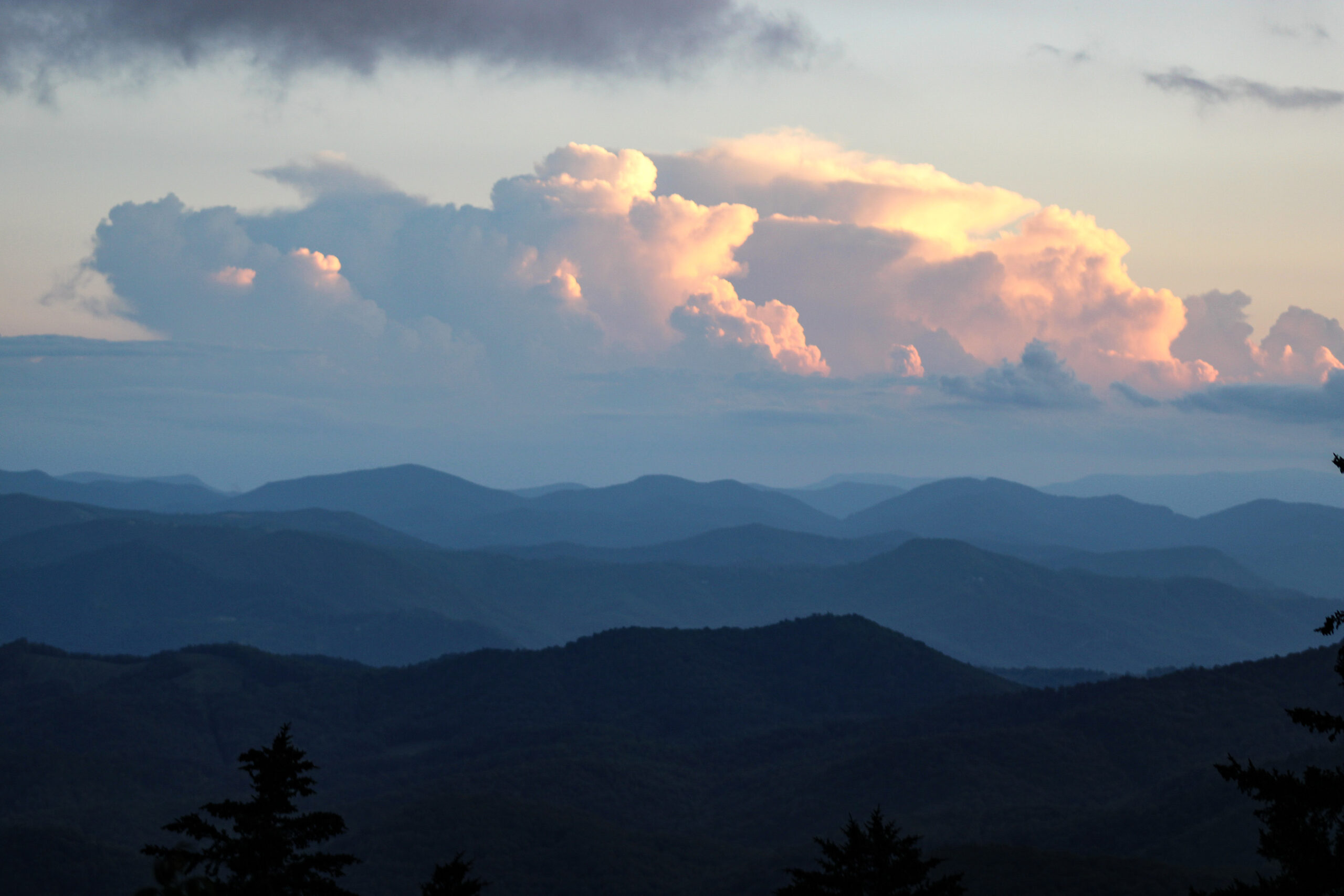 Blue Ridge Ridgewood The Blue Ridge Parkway - Where the Dogwood Blooms